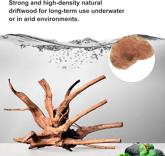 Majoywoo Natural Driftwood - 5pcs Spider Wood Branches for Aquarium &amp; Reptile De