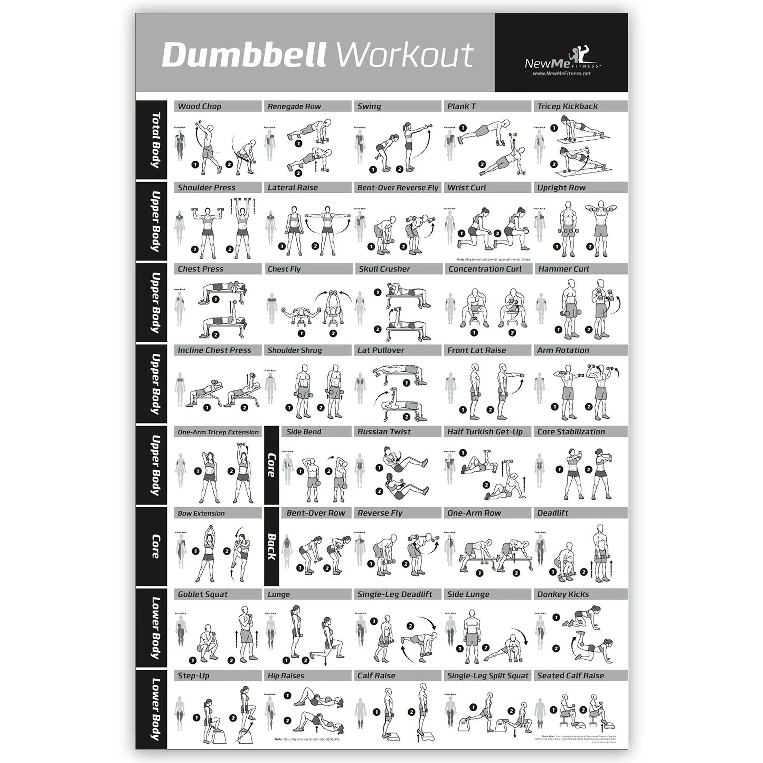 NewMe Fitness Workout Posters for Home Gym, Dumbbell Exercise Posters for Full ...