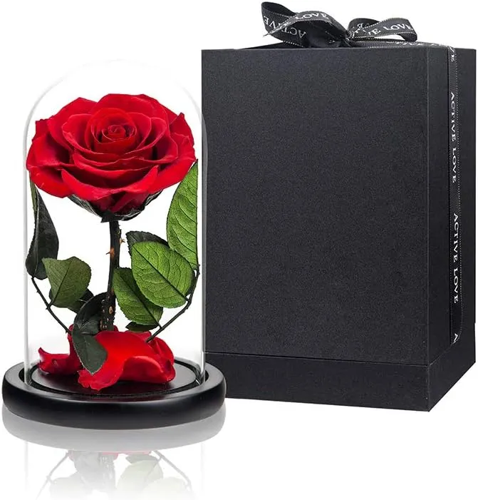 Preserved Rose Red Rose in Glass Dome Real Roses Preserved Flowers, Valentine...