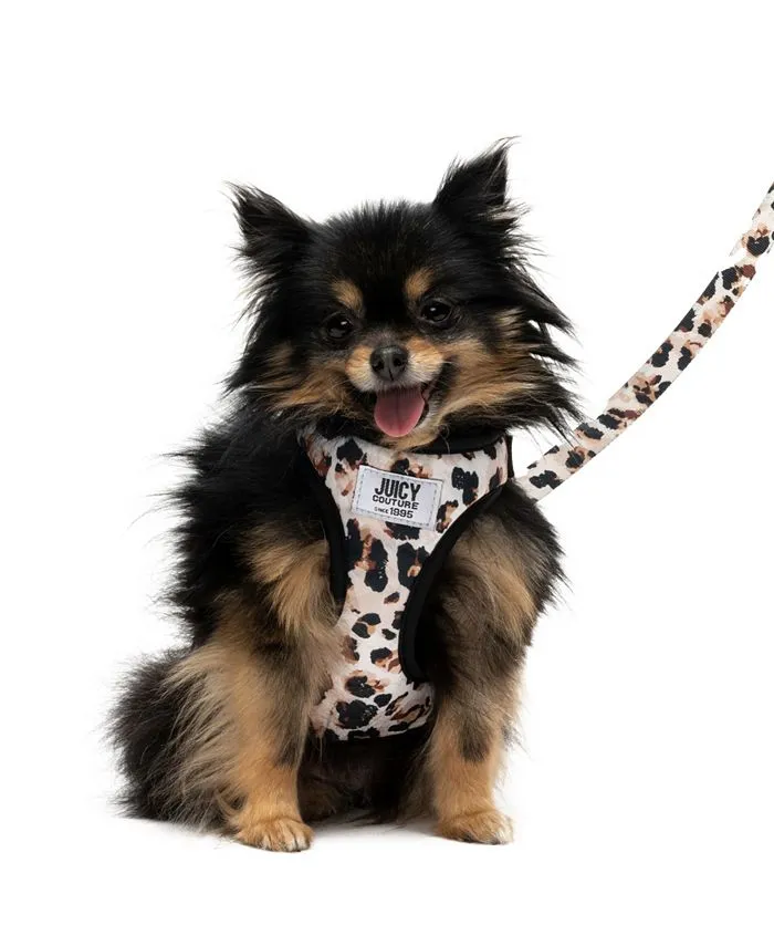 2-Piece Harness Leash Set, X-Small