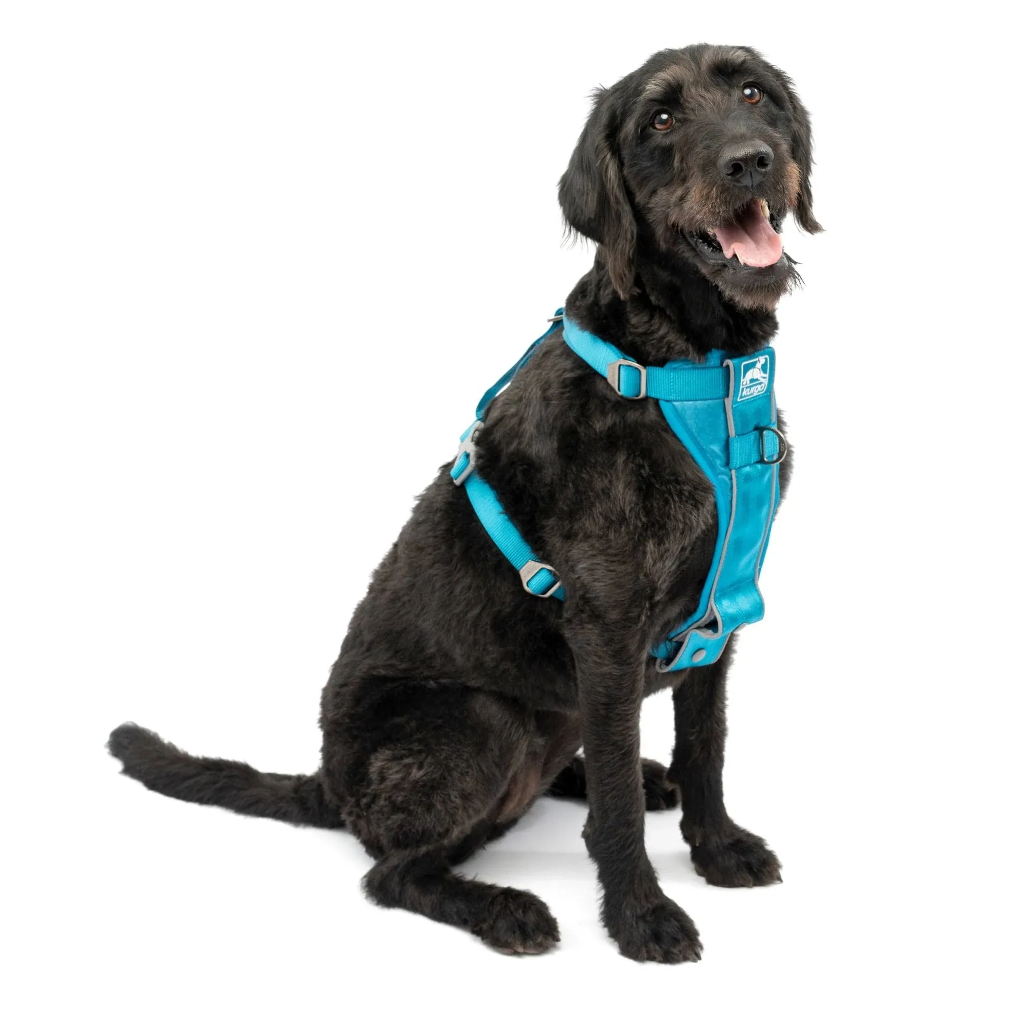 Kurgo Tru-Fit Smart Dog Harness