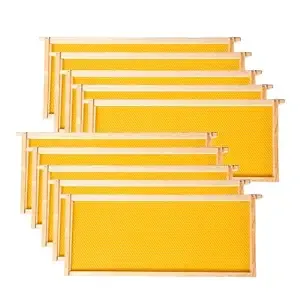 Deep Brood Beehive Frames with Wax Foundation,10 Pack Honey Bee Frames with 100% Beeswax Coated Food Grade Foundation Sheets, 9-1/8-Inch(Yellow)