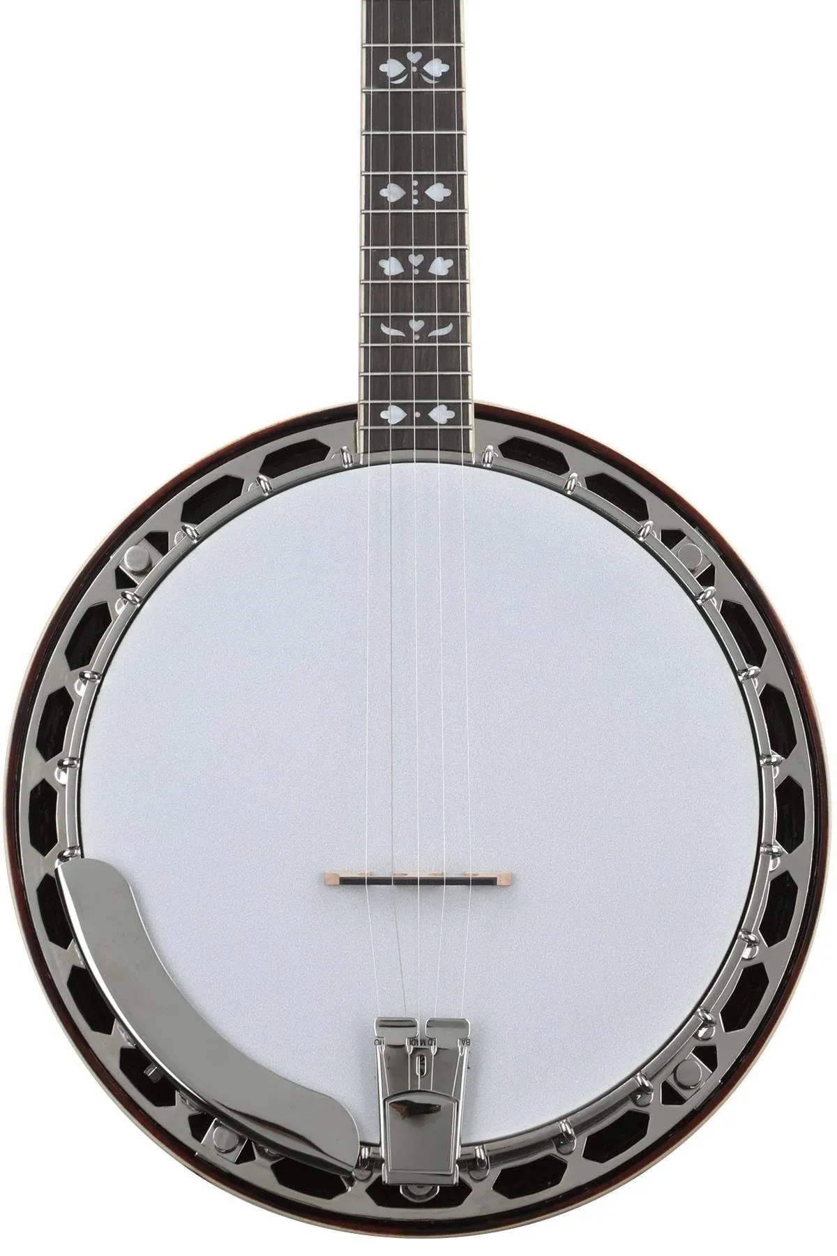 Recording King Bluegrass Series RK-R20 Songster Banjo