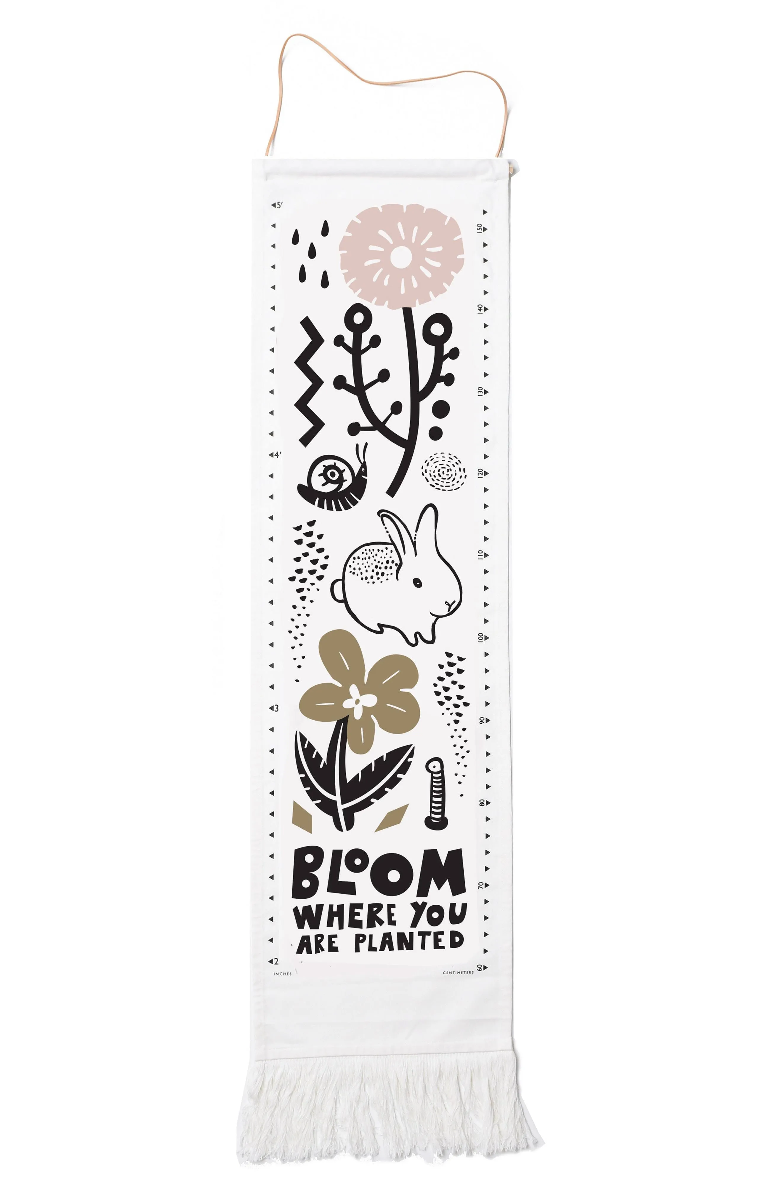 Bloom Canvas Growth Chart