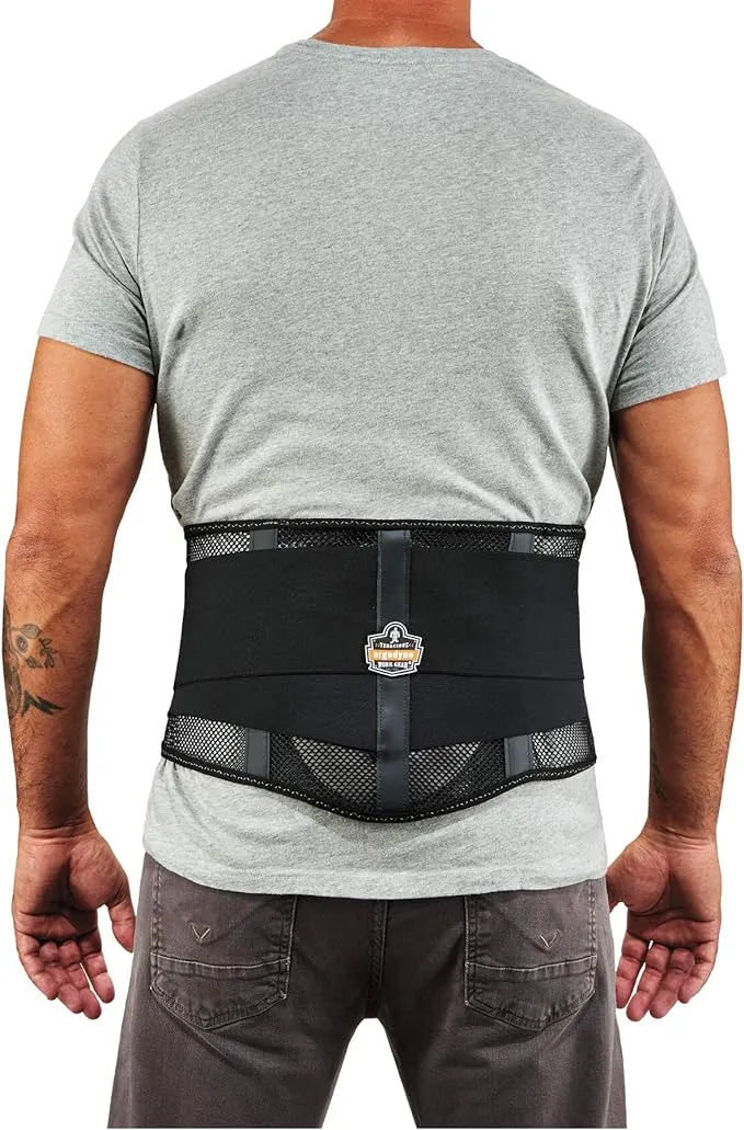 Ergodyne ProFlex Mesh Back Support