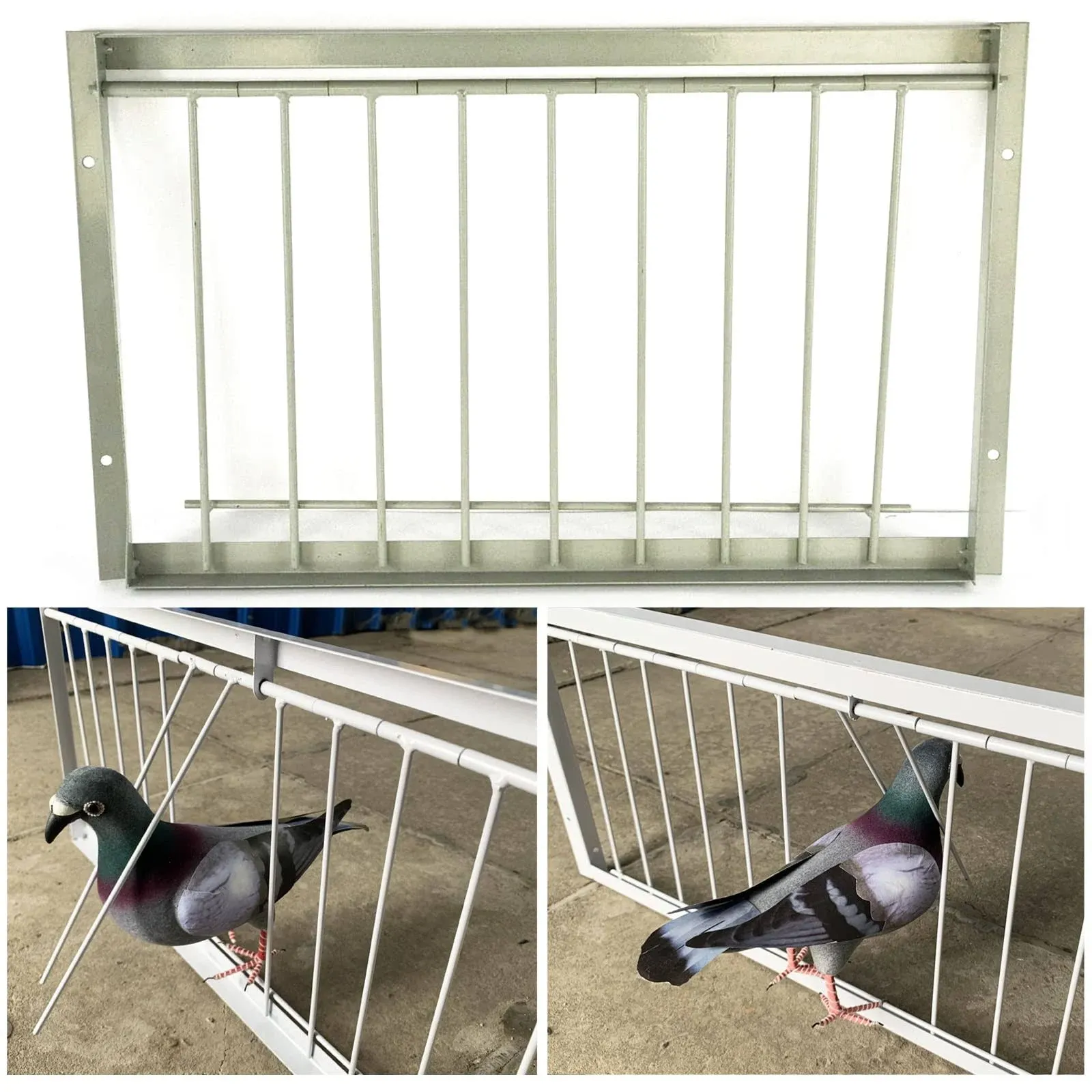 Pigeon Loft Door Pigeon Entrance Door Trap Door Pigeon House Door Racing Supplies ...