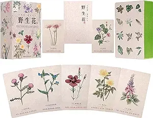 Korean Wildflower Advice Oracle Tarot Cards - illustrations were not processed by digital artwork, but by Korean traditional folk painting “Minhwa” on the actual paper, Hanji(Korean paper).