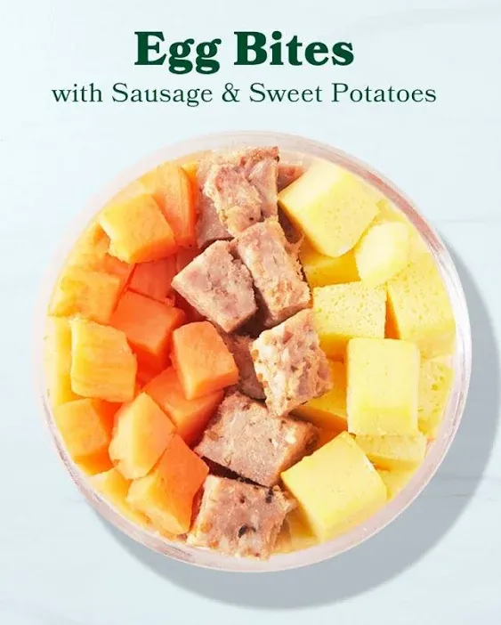 Nurture Life Healthy Finger Foods Favorites - 12-Meal Variety Pack - Organic Focus - Freshly Made - You Order It, We Make It - Shipped in Refrigerated Box