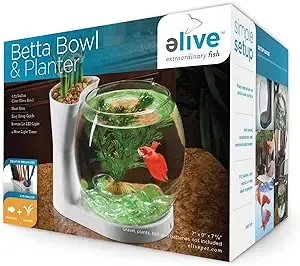 Elive Betta Fish Bowl / Betta Fish Tank with Planter, Small 0.75 Gallon Aquarium, LED Light Timer, White