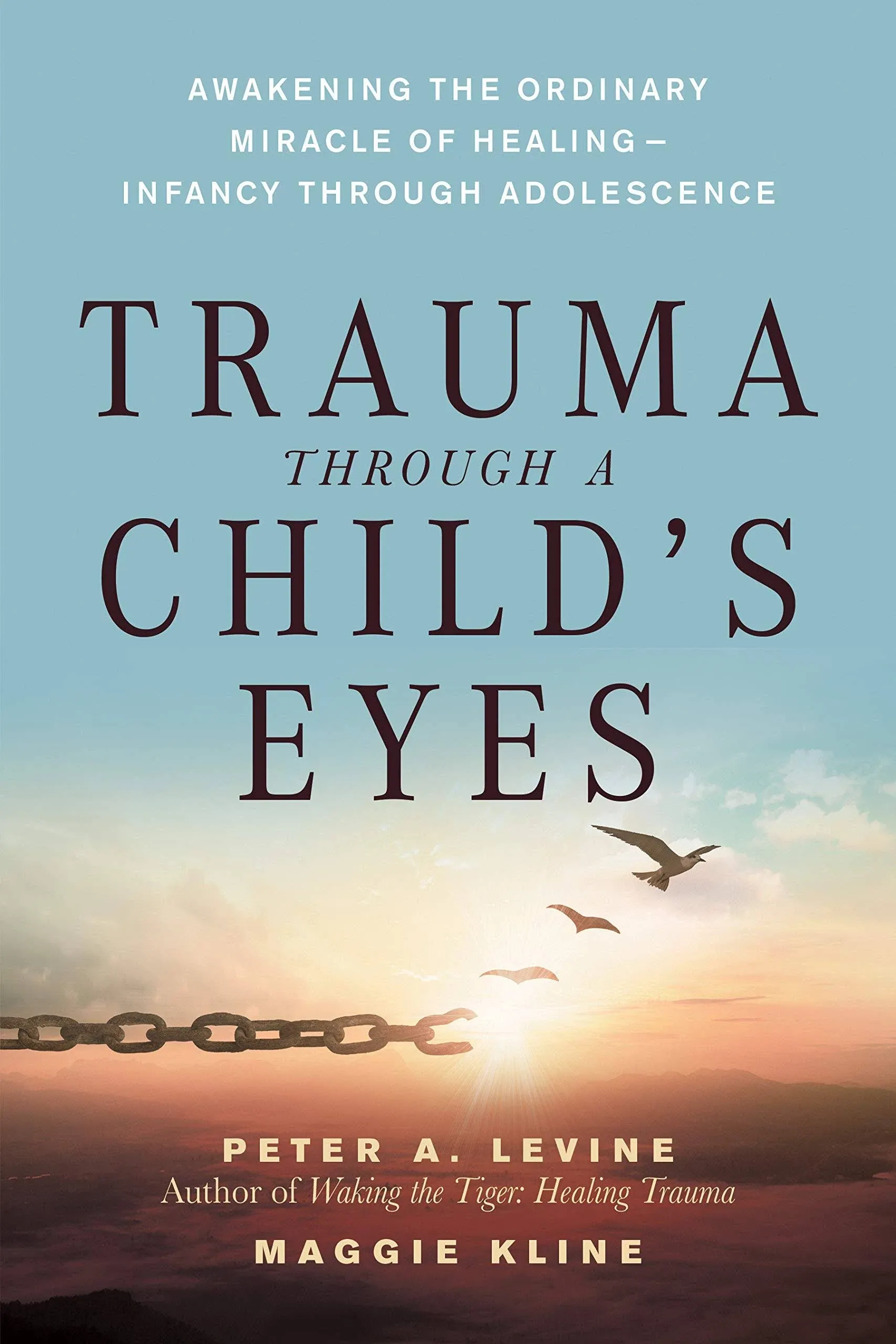 Trauma Through a Child's Eyes