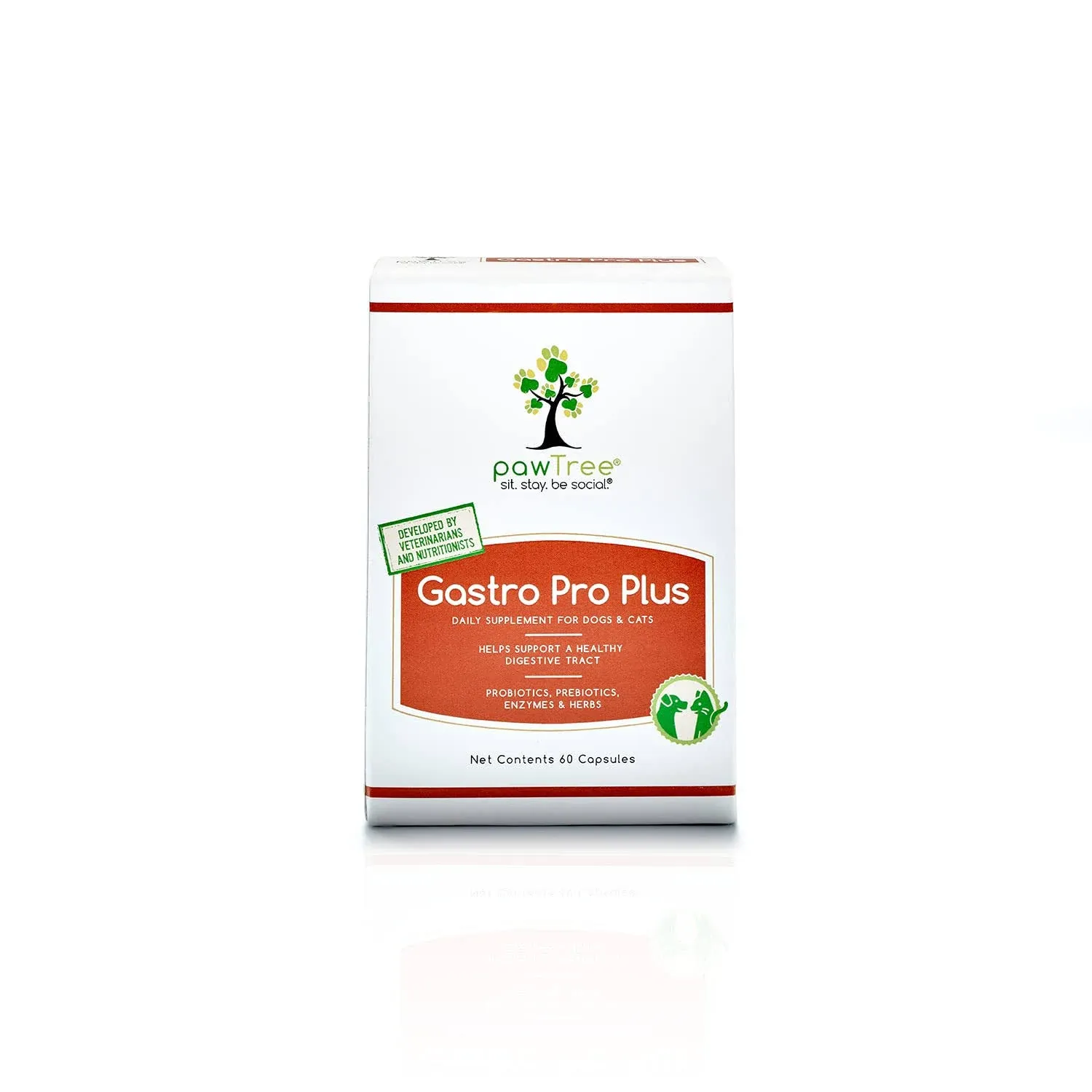 pawTree Gastro Pro Plus - Probiotics and Digestive Enzymes for Dogs and Cats - 60 Count