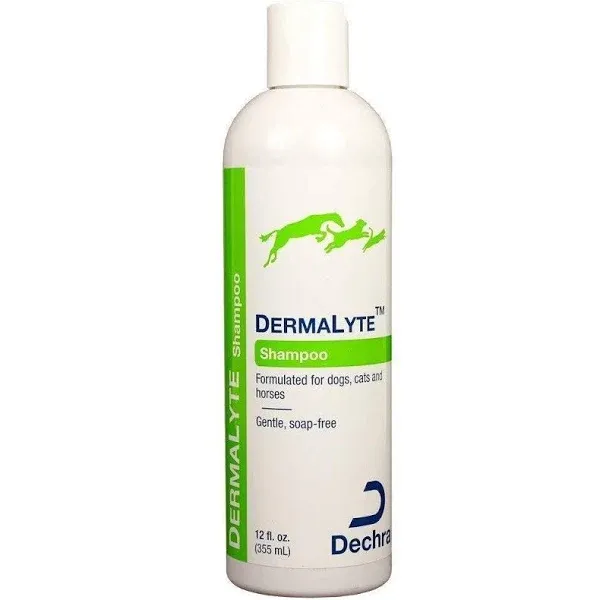 Dechra 192959807134 DermaLyte Shampoo for Cats & Dogs, 12 oz