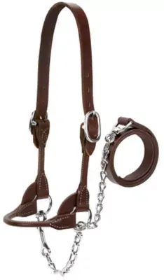 Weaver Leather Dairy/Beef Rounded Show Halter, Large, Brown