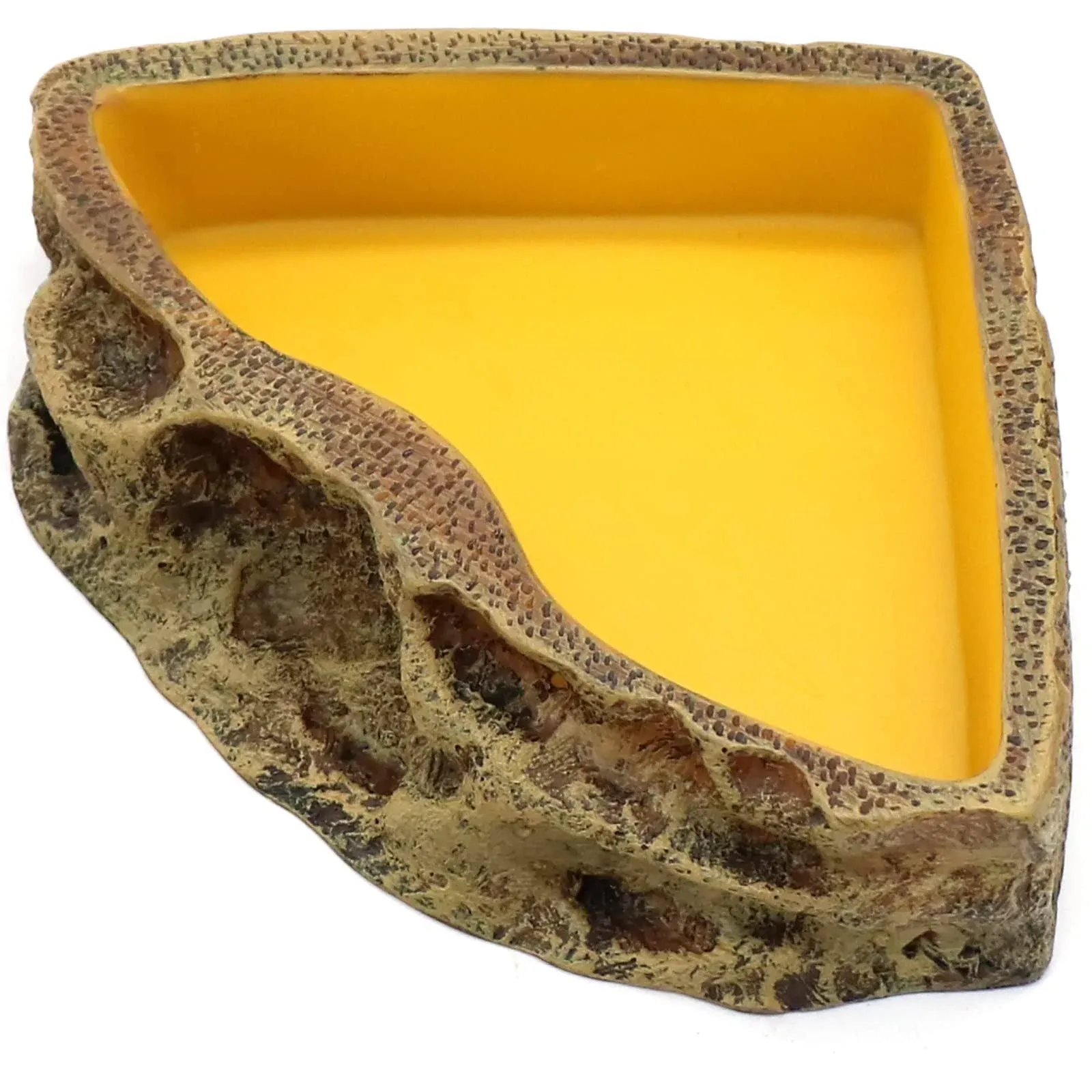 relaqcc Reptile Feeder Resin Bowl Amphibian Reptile Bowl for Reptile Lizard Gecko ...