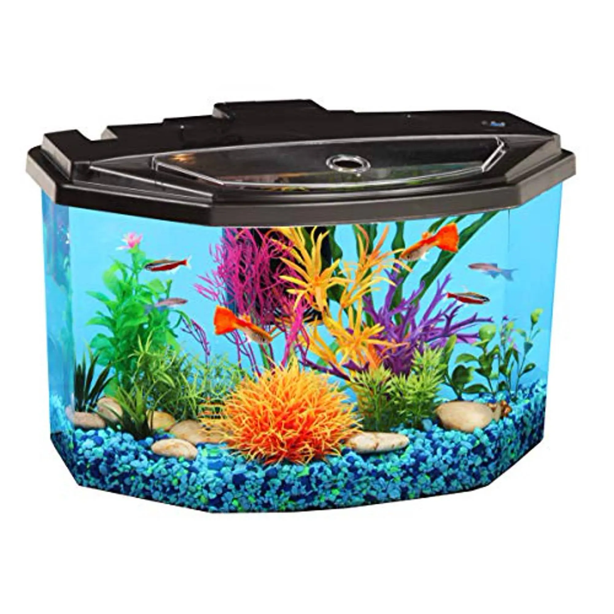 Koller Products Plastic 3-Gallon Aquarium Starter Kit with 7 Colors LED Lighting and Complete Filtration, Ideal for a Variety of Tropical Fish , Betta Fish, Tropical Fish, Cichlids, Ornamental Shrimp