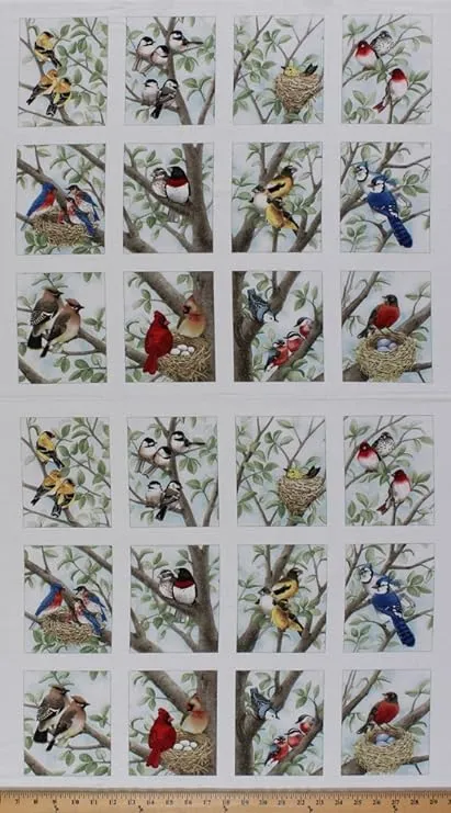 23.5" x 44" Panel Beautiful Birds Bird Nesting Bird-watching Nests Cotton Fabric Panel (4309-CREAM-PANEL)