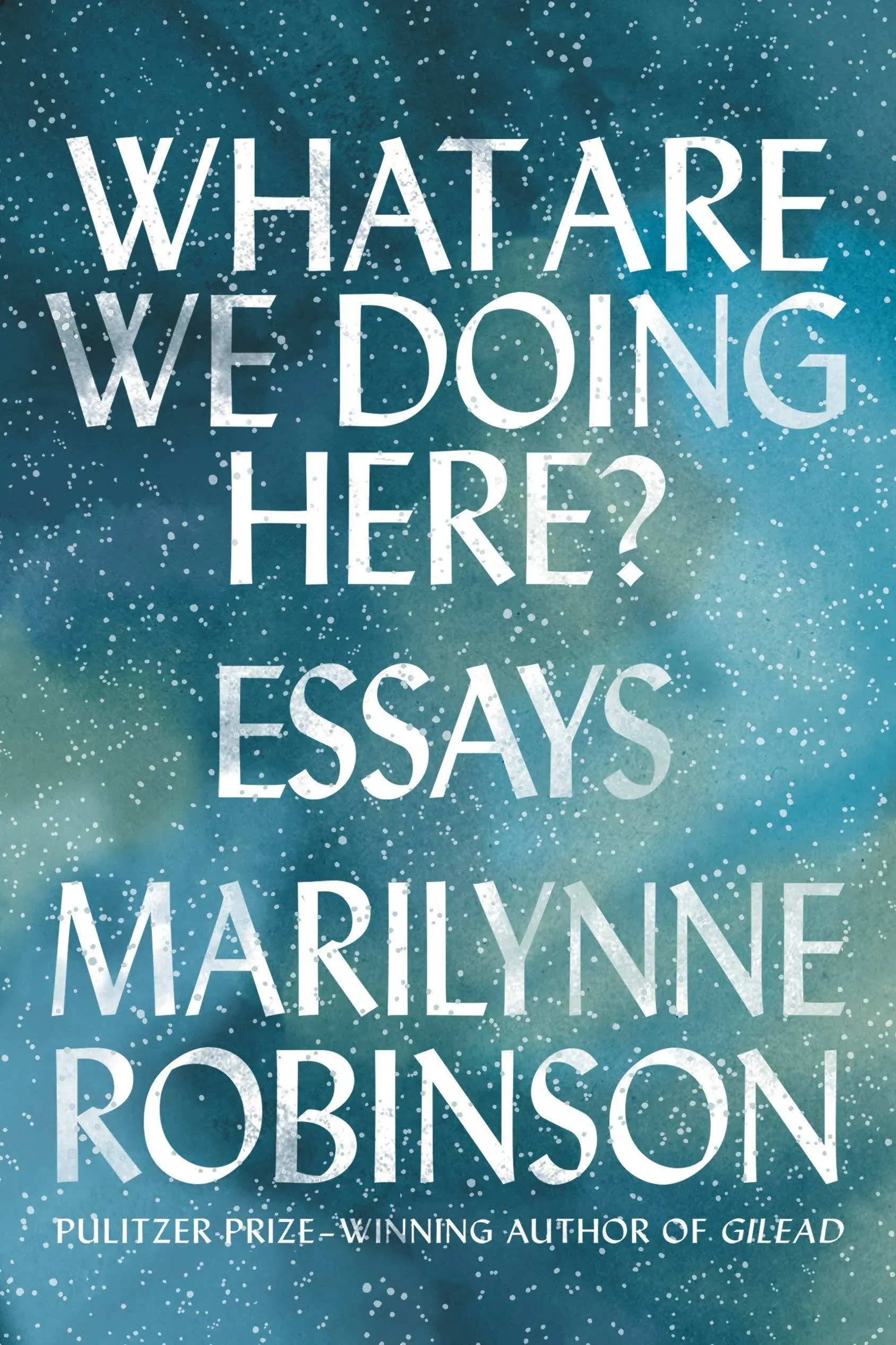 What Are We Doing Here?: Essays [Book]