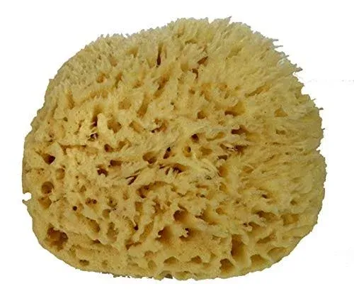 Spa Destinations Natural Sea Wool Sponge 6-7 Natural Renewable Resou