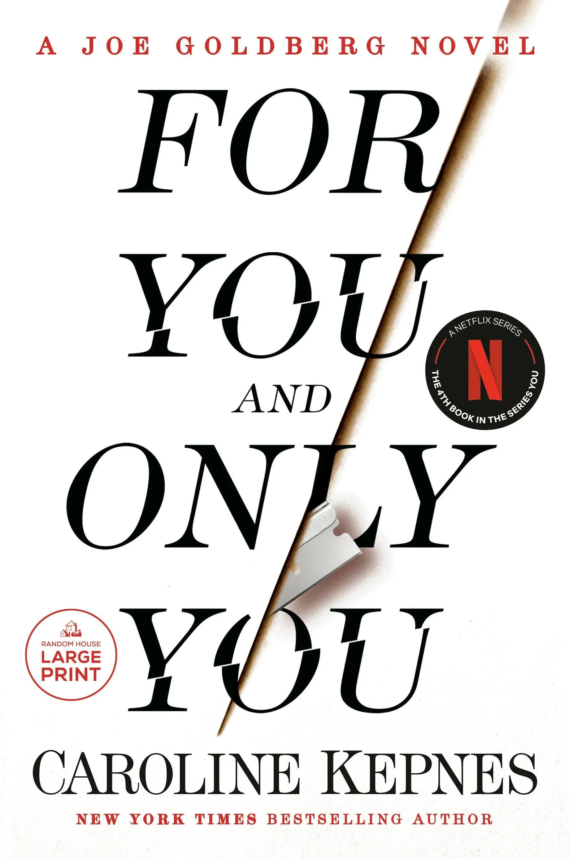 Untitled YOU Novel Format: Paperback