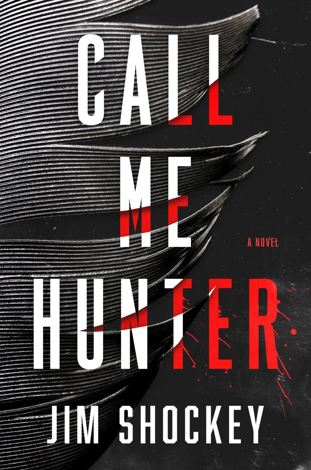 Call Me Hunter: A Novel [Book]