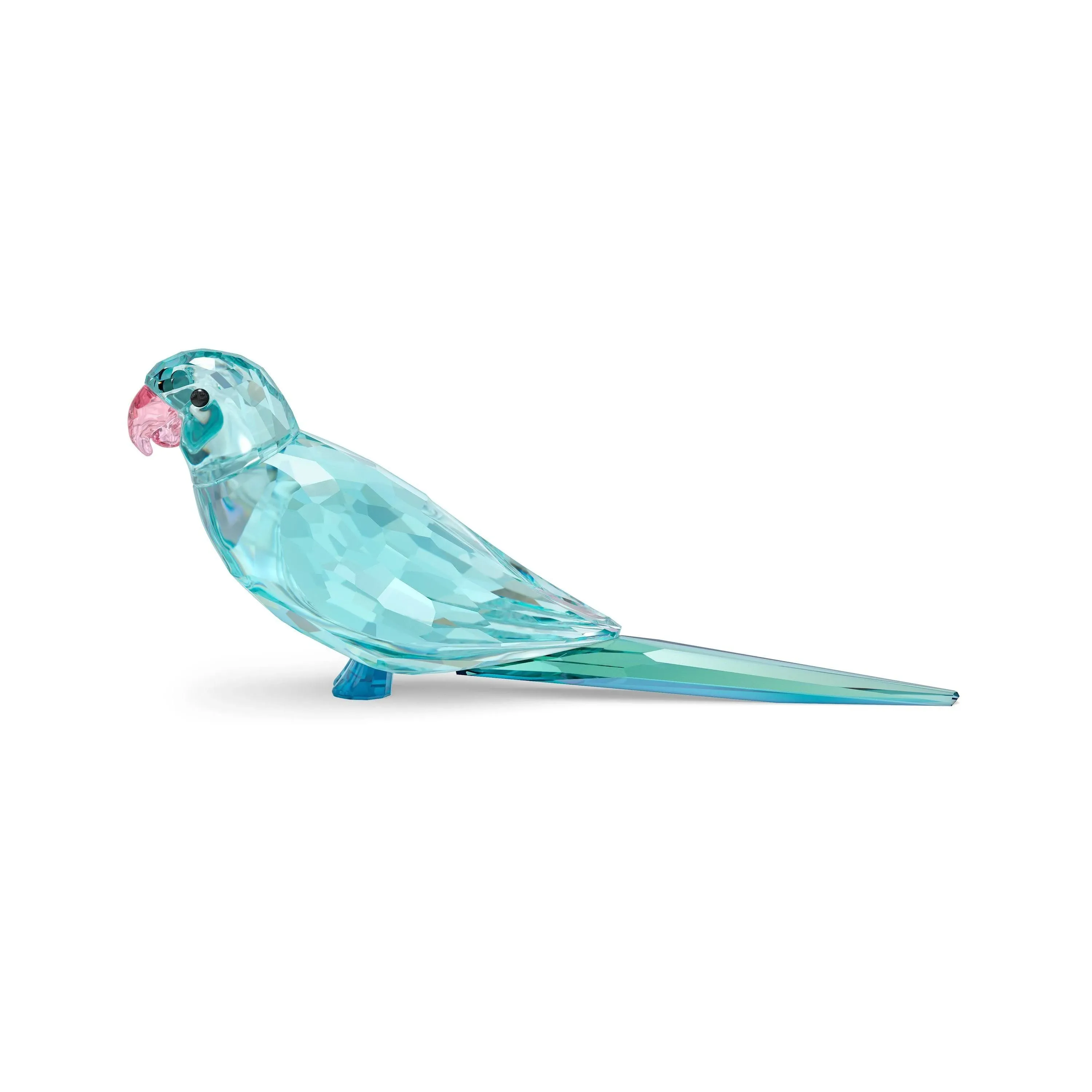 Swarovski Jungle Beats Blue Parakeet Paco