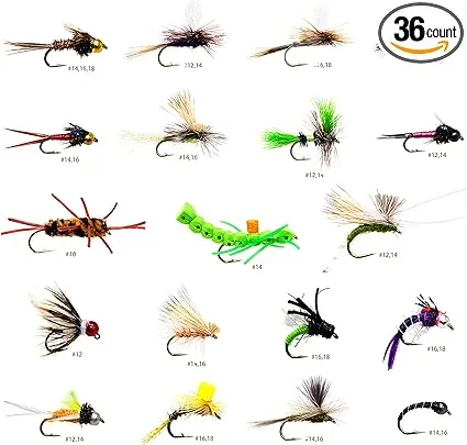 36 Producing Fly Fishing Flies Assortment | Dry, Wet, Nymphs, Caddis, Hopper Fly