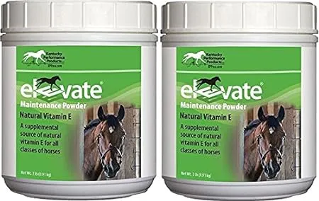 Kentucky Performance Elevate Maintenance Powder