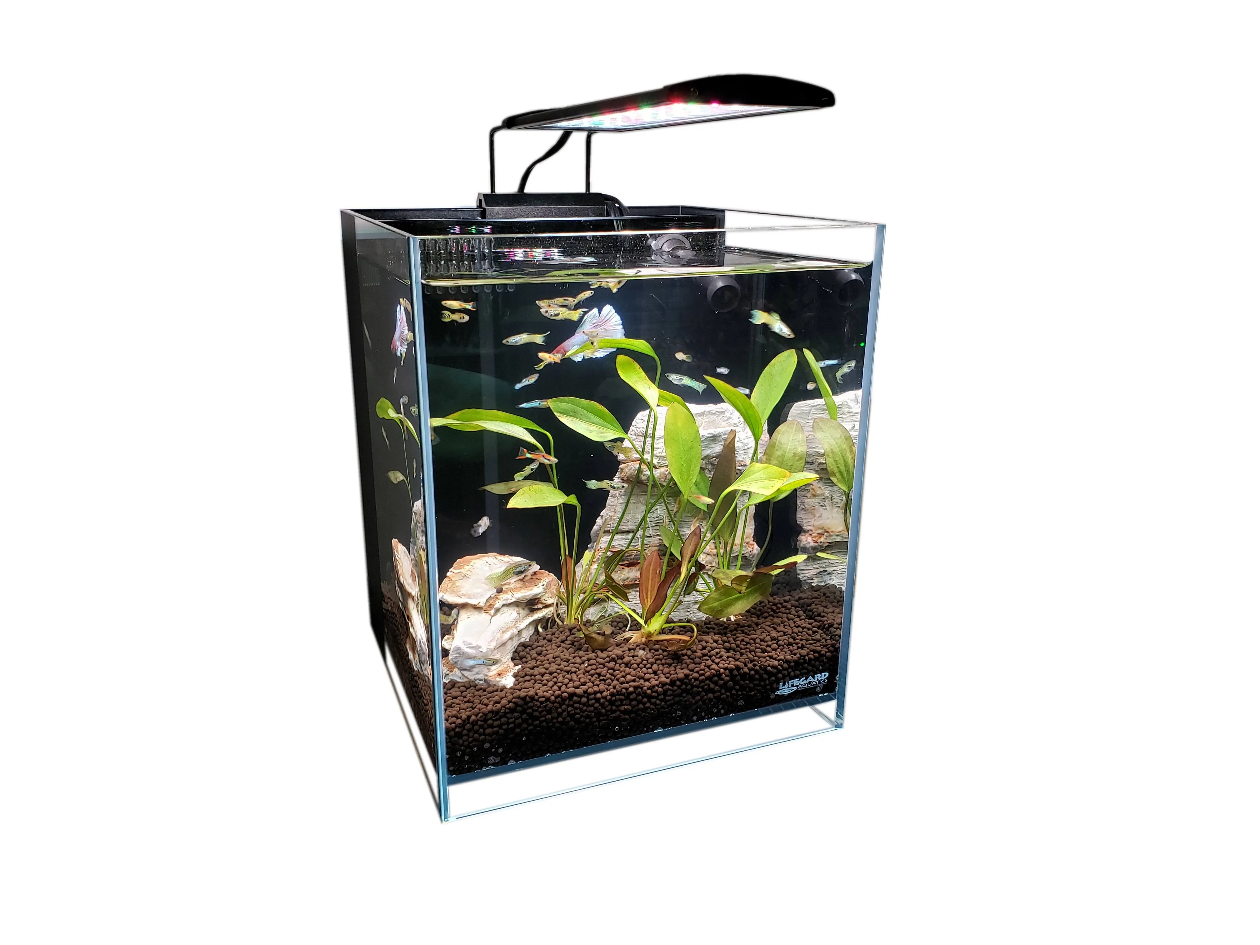 Lifegard Aquatics Crystal (8.3 Gallons) Elevated Low Iron Ultra Clear Aquarium ...