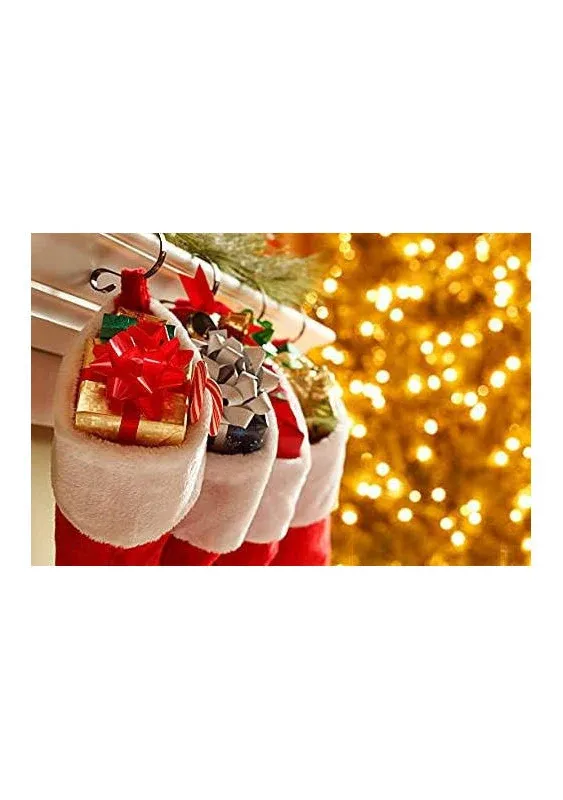 Red Velvet Stocking with White Plush Cuff and Hanging Tag