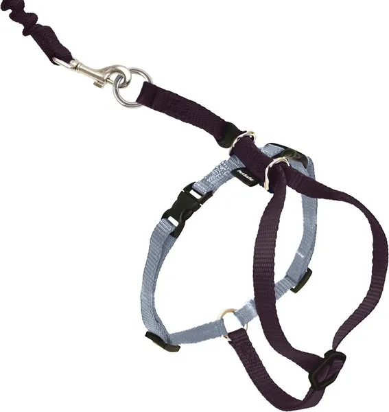 PetSafe Come With Me Kitty Harness and Bungee Leash, Harness for Cats, Small, Royal Blue/Navy