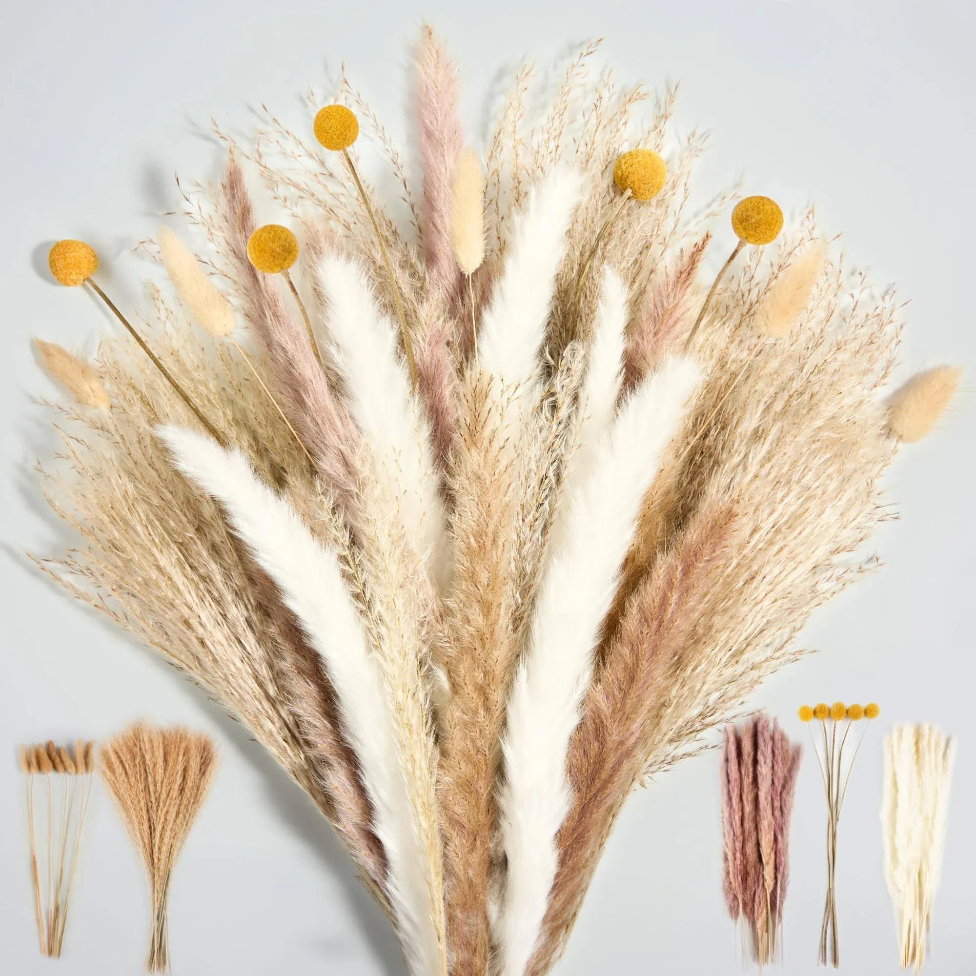 Luxclub Dried Pampas Grass Decor, 100 PCS 17 Inch Pampas Grass, Fluffy Bunny 