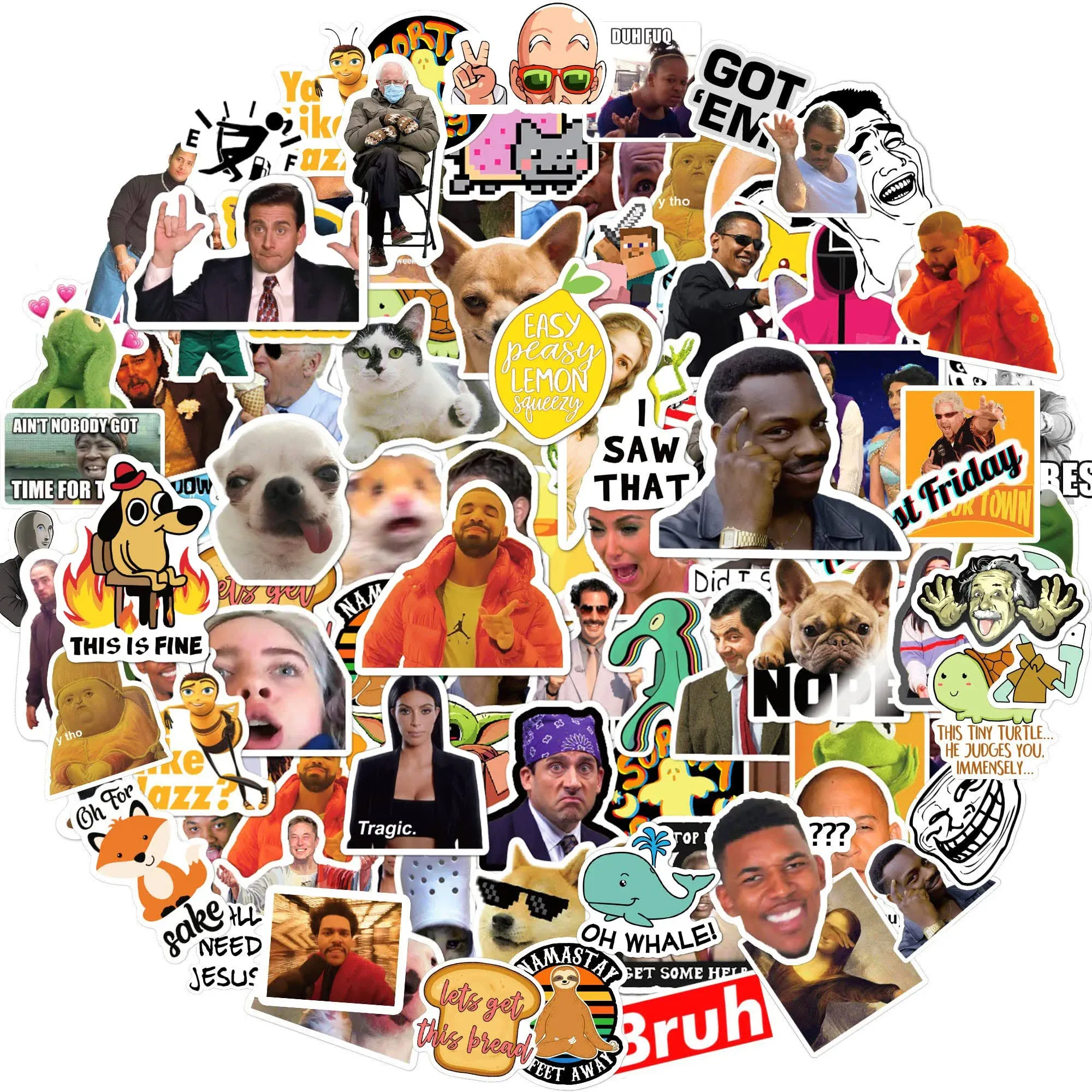 220pcs Funny Meme Stickers Pack for Laptop, Trendy Vinyl Sticker for Computer ...