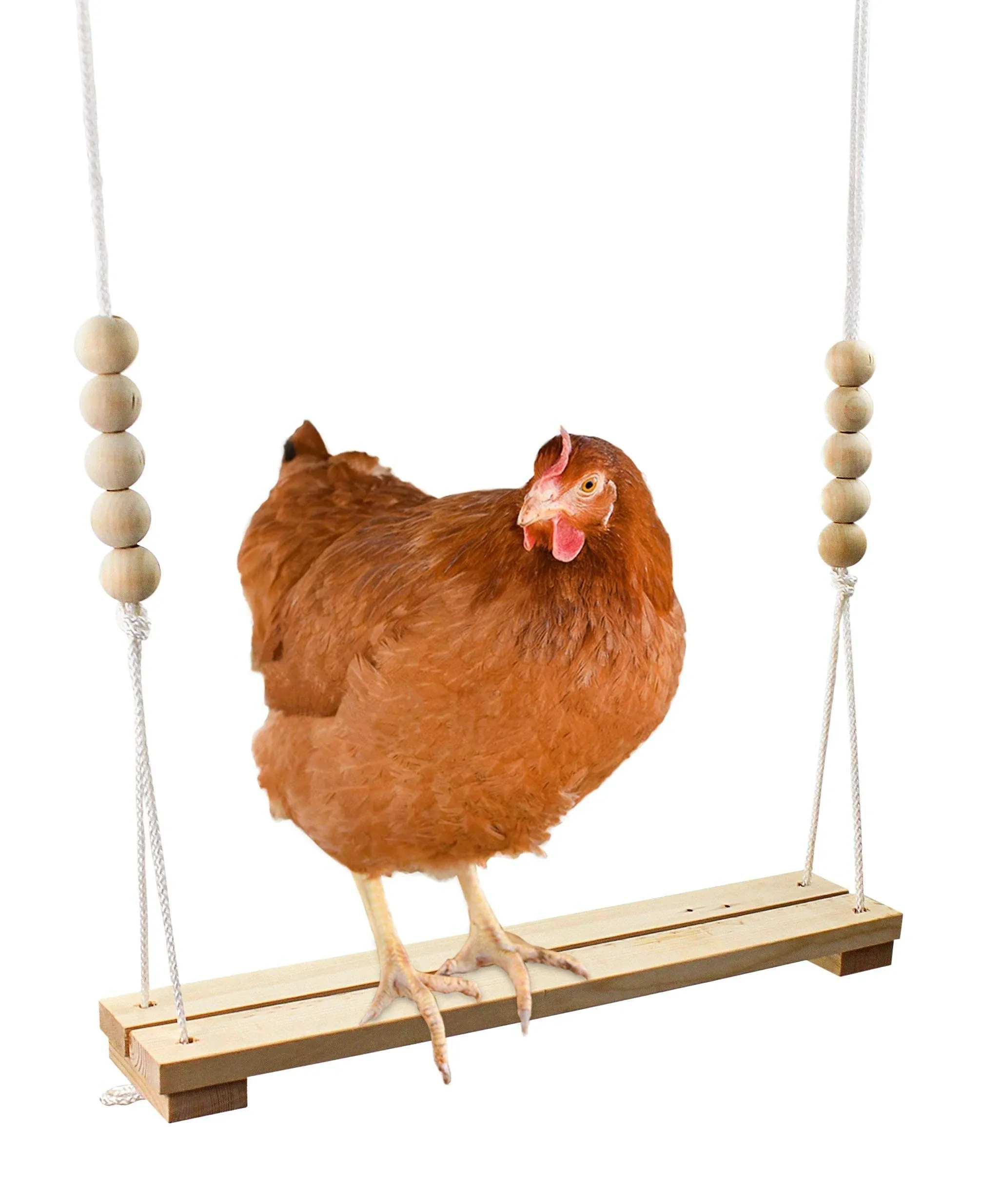 Backyard Barnyard Chicken Swing Toy