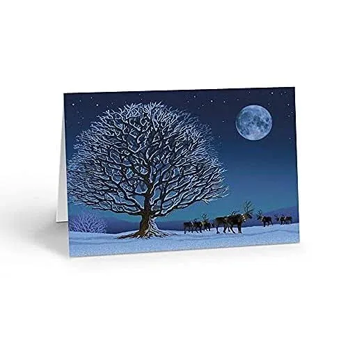 Stonehouse Collection Reindeer Under Moonlight Christmas Card - 18 Boxed Holiday Cards & Envelopes - Winter Night (Standard)