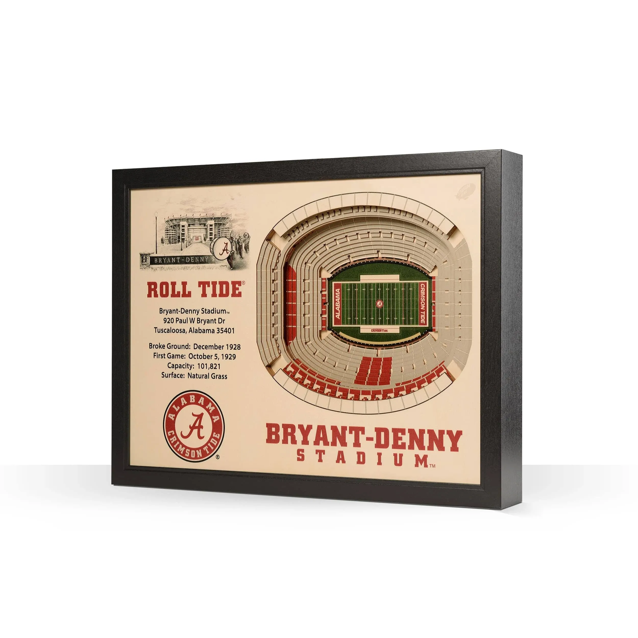 You The Fan! NCAA Stadium View 25-Layer 3D Wall Art