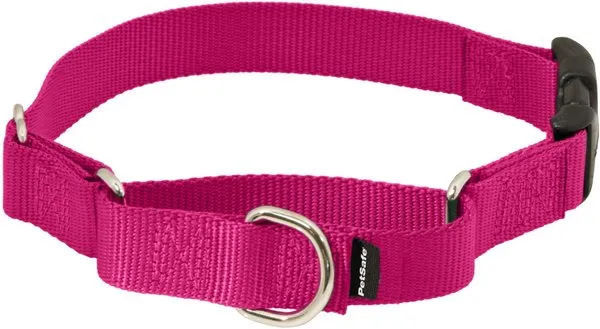 PetSafe Martingale Collar with Quick Snap Buckle