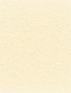 NextParch 8-1/2" x 11" (Letter Size) 65 lb. Parchment Cover Card Stock (Natural)