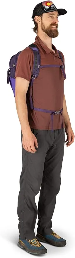 Osprey Daylite Plus Commuter Backpack, Dream Purple