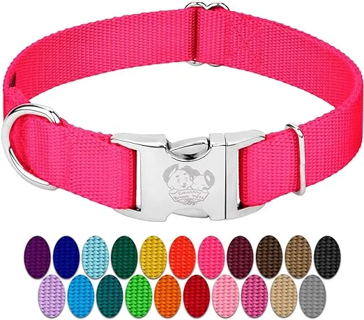 Country Brook Petz Premium Nylon Dog Collar with Metal Buckle for Small Medium Large Breeds - Vibrant 30+ Color Selection (Extra Large, 1 Inch, Hot Pink)