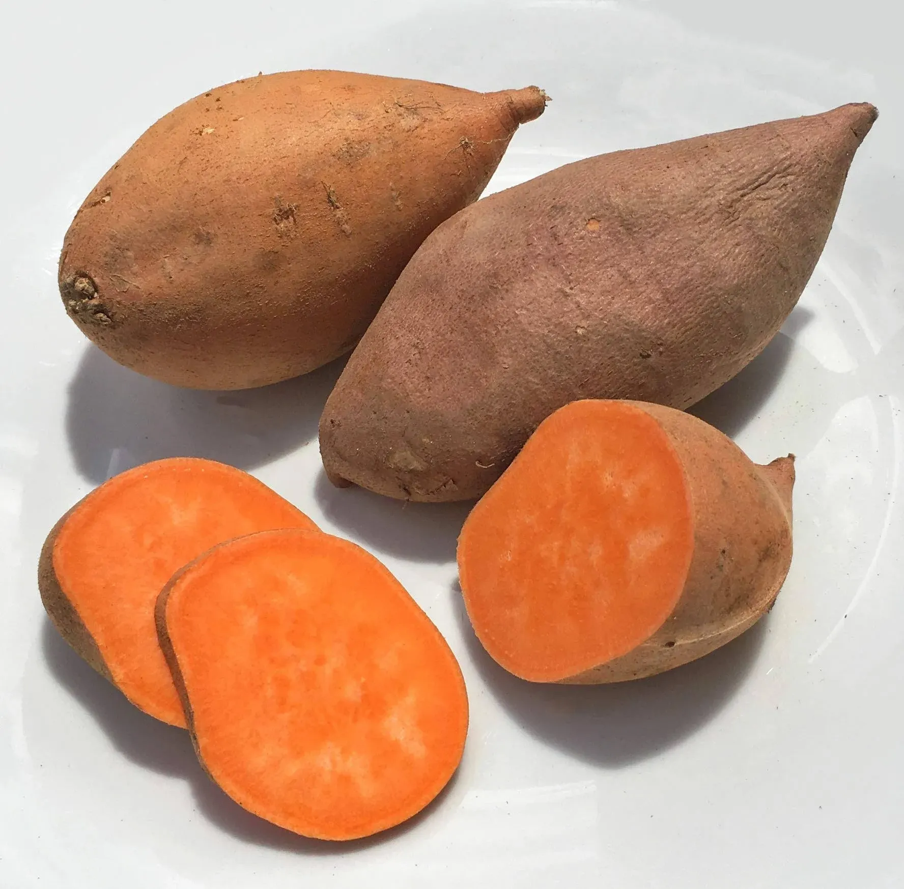 Kejora Fresh Sweet Potatoes