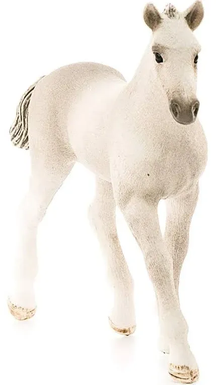 Holsteiner Foal