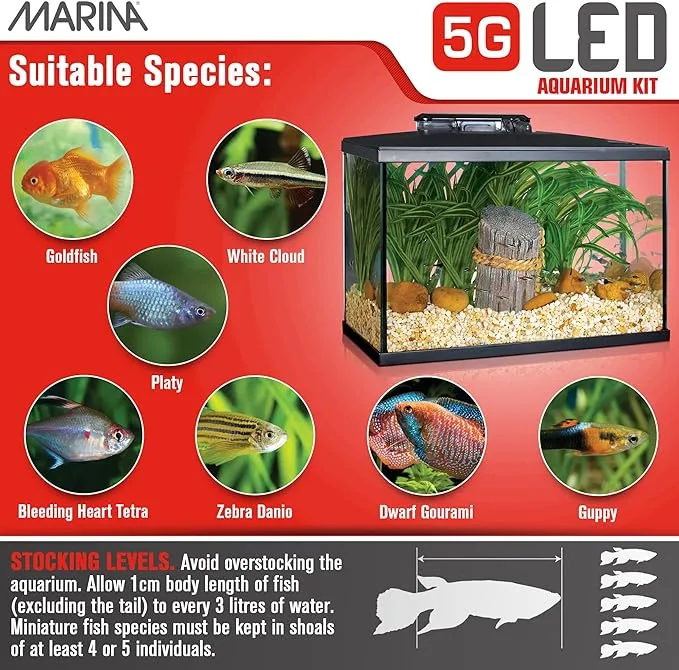 Marina 5 Gallon (19 L) LED Aquarium Kit – Ideal for Beginner Aquarists and New Fish-Keepers