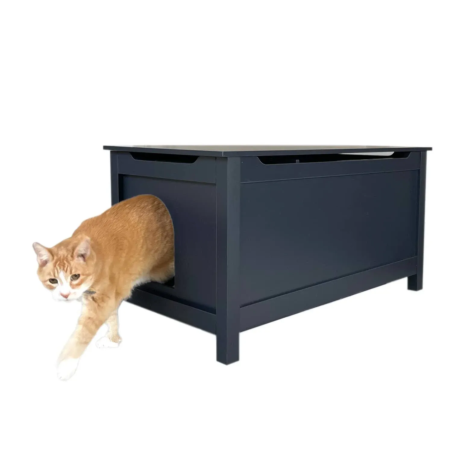 Designer Pet Products Parker Designer Catbox Cat Litter Box Enclosure, Hidden Dog ...