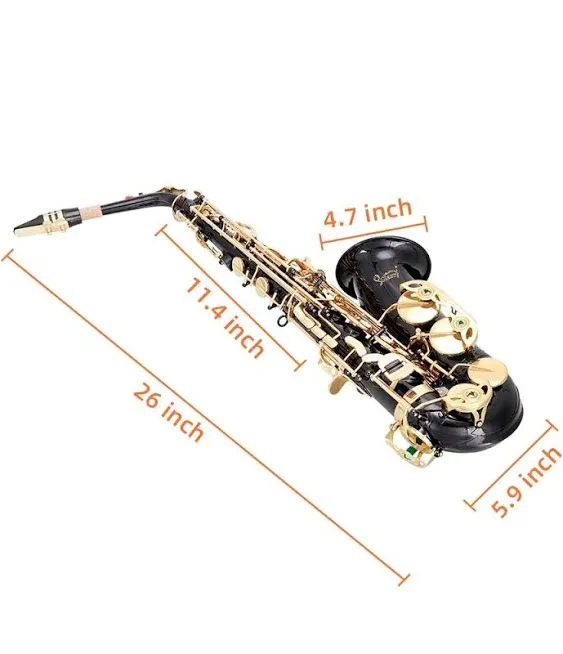 Glarry Student Alto Eb E-flat Sax Saxophone Gold Lacquer Sax Beginners Kit with ...