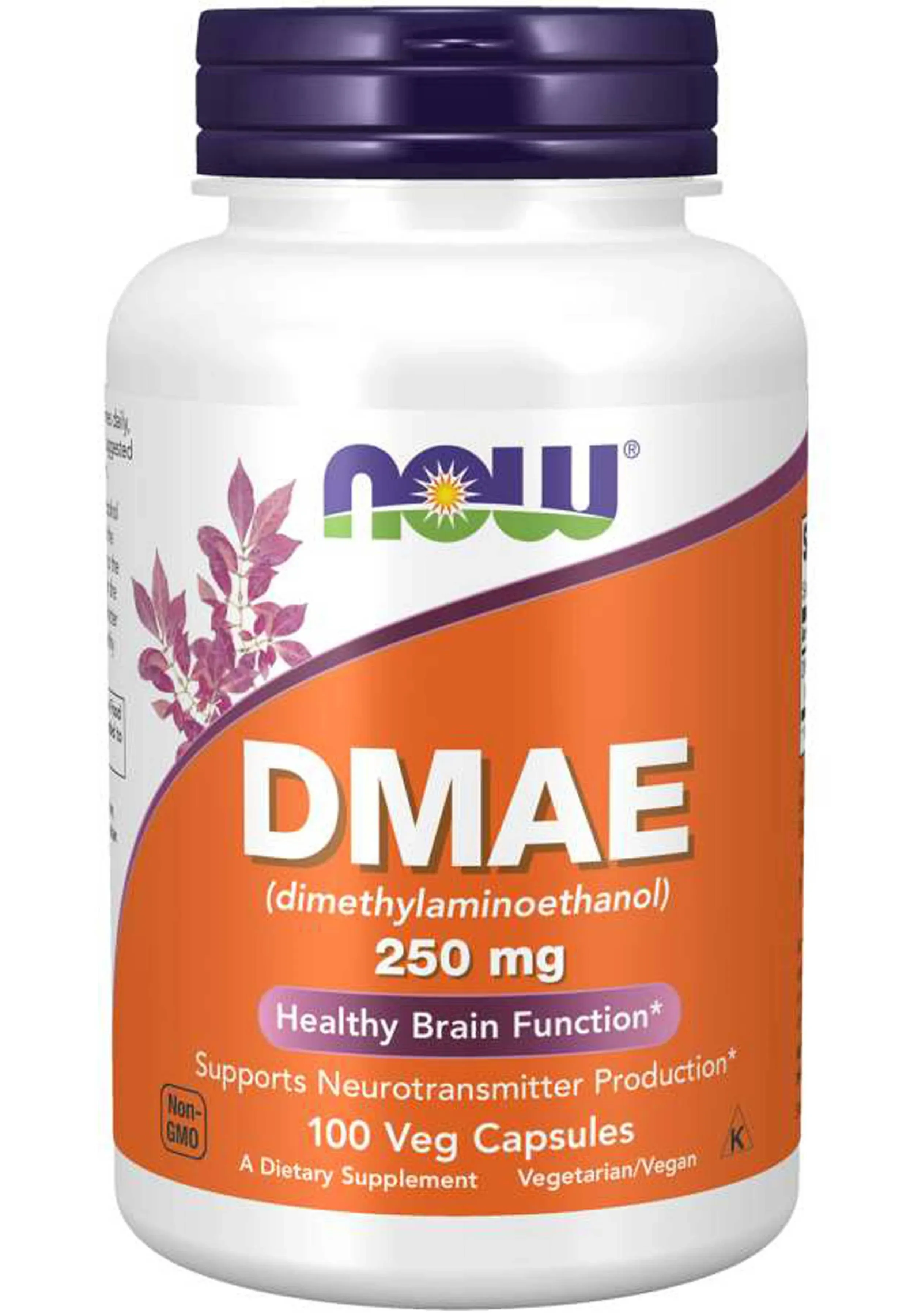 DMAE 100 Vcaps by Now Foods