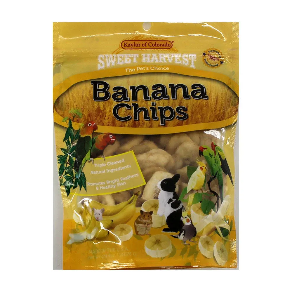 Sweet Harvest Banana Chips Bird & Small Animal Treats 4oz