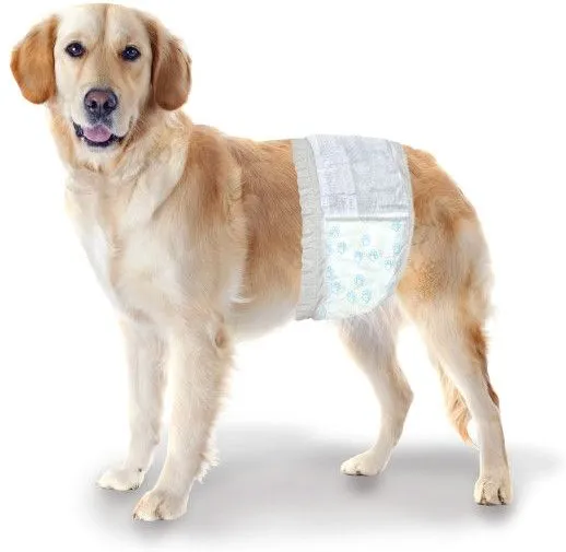 Four Paws Wee Wee Disposable Male Dog Wraps