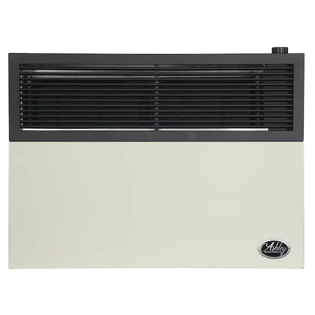 Ashley Hearth Products 17000-BTU Wall-Mount Indoor Natural Gas Convection Heater