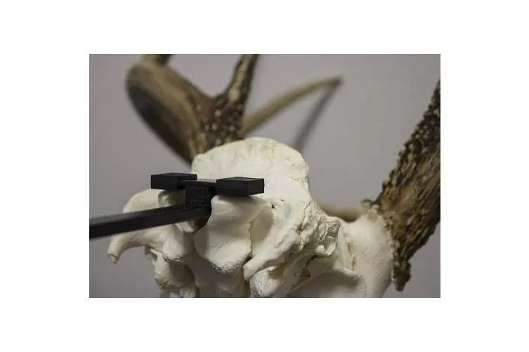 Walnut Hollow Euro Skull Mount - Kit