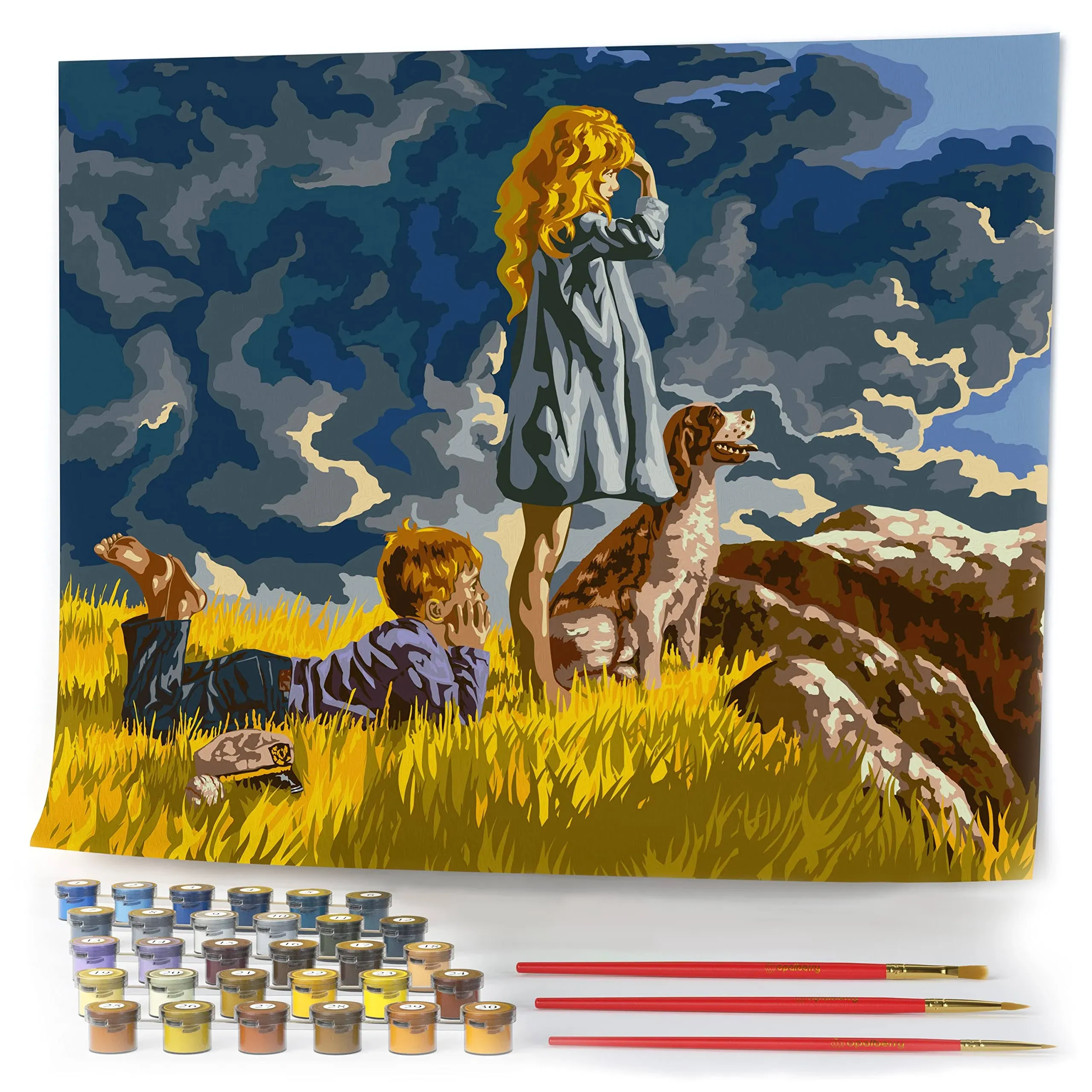 Opalberry Paint by Numbers for Adults - Number Painting Kit with Rolled Canvas ...